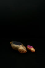 Load image into Gallery viewer, Pile o' Tsuchinoko (Medium,Mini) - Soft Firmness