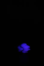 Load image into Gallery viewer, Squishy Paw - Soft Firmness