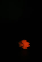 Load image into Gallery viewer, Squishy Paw - Soft Firmness
