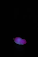 Load image into Gallery viewer, Medium Tsuchinoko - Soft Firmness