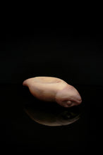 Load image into Gallery viewer, Large Tsuchinoko - Soft Firmness