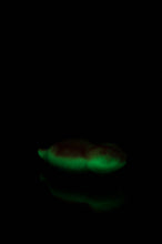 Load image into Gallery viewer, Large Tsuchinoko - Medium Firmness