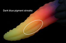 Load image into Gallery viewer, Medium Xenom - Soft Firmness