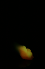 Load image into Gallery viewer, Medium Squishy Paw - Soft Firmness