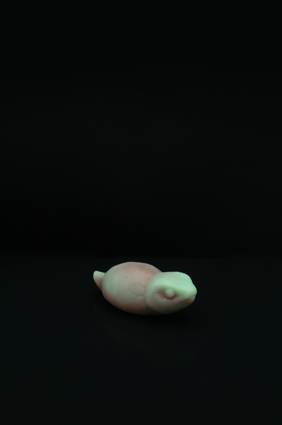Tsuchinoko moyen - Fermeté douce