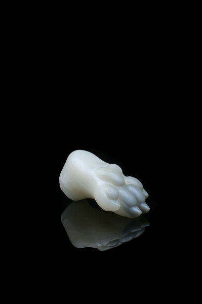 *Changement de couleur* Squishy Paw - Fermeté moyenne