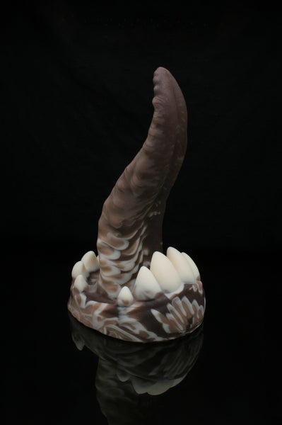 Medium Xenom - Soft Firmness