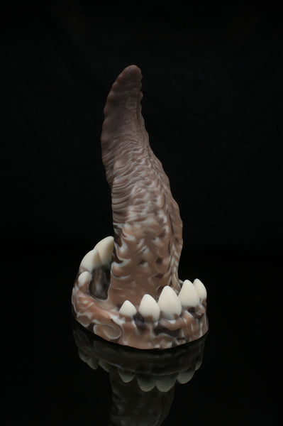 Medium Xenom - Soft Firmness