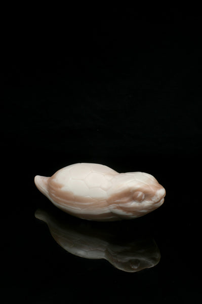 Large Tsuchinoko - Soft Firmness