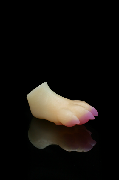 Squishy Paw - Medium Firmness