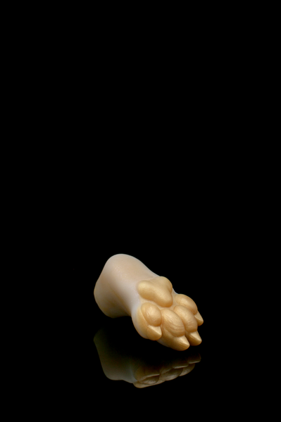 Squishy Paw - Medium Firmness