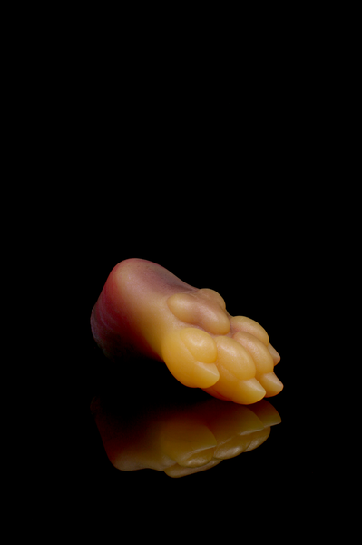 Squishy Paw - Medium Firmness