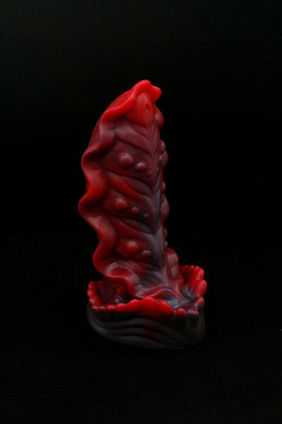 Squill - Fermeté douce