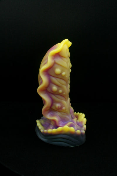 Squill - Fermeté douce