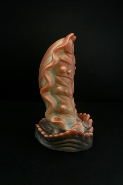 Squill - Fermeté douce