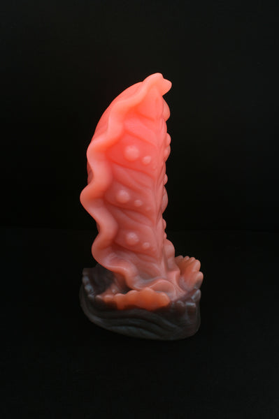 Squill - Fermeté douce