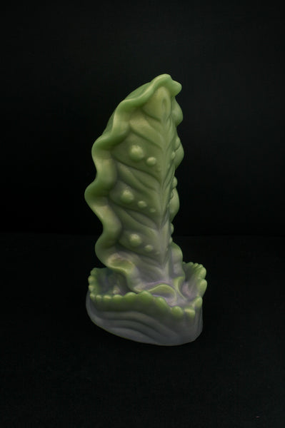 Squill - Fermeté douce