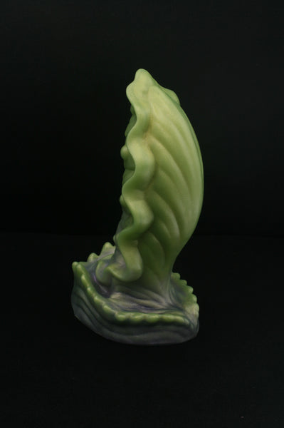 Squill - Fermeté douce