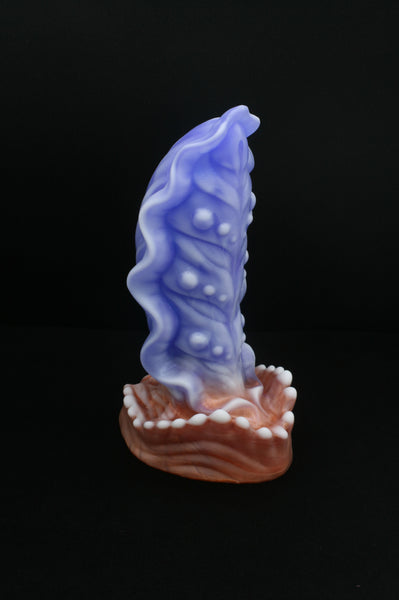 Squill - Fermeté moyenne