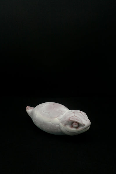 [Flop] Grand Tsuchinoko - Douce Fermeté