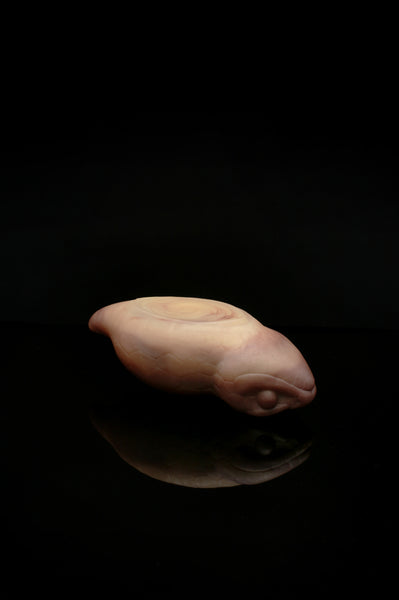 Grand Tsuchinoko - Douce Fermeté