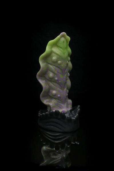 Squill - Fermeté moyenne