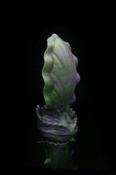 Squill - Fermeté moyenne